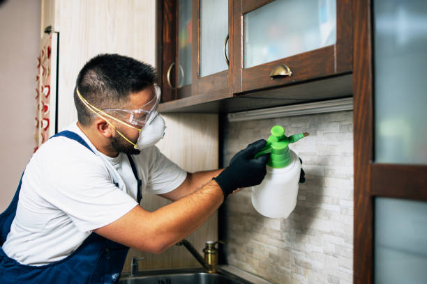 Trusted Syracuse, NE Pest Control Experts