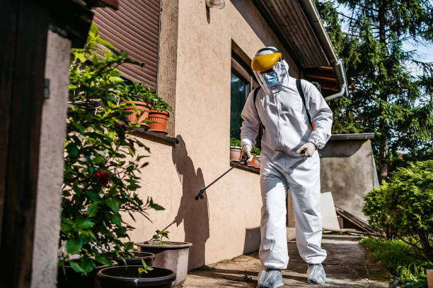 Best Affordable Pest Control Services  in Syracuse, NE
