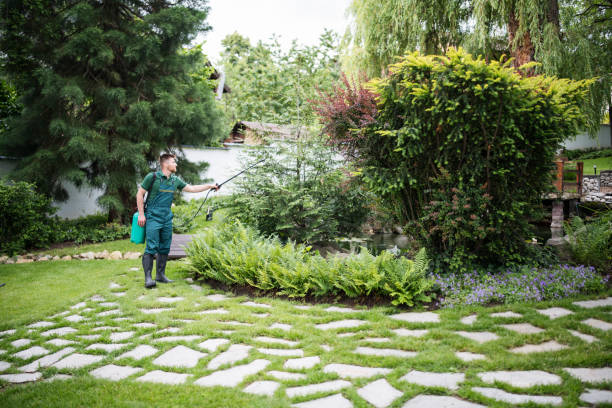 Best Best Pest Control Companies  in Syracuse, NE