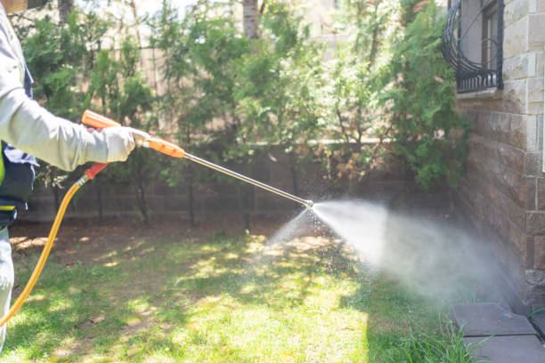 Best Pest Prevention Services  in Syracuse, NE