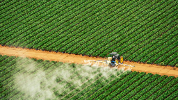 Best Pest Control for Homes  in Syracuse, NE