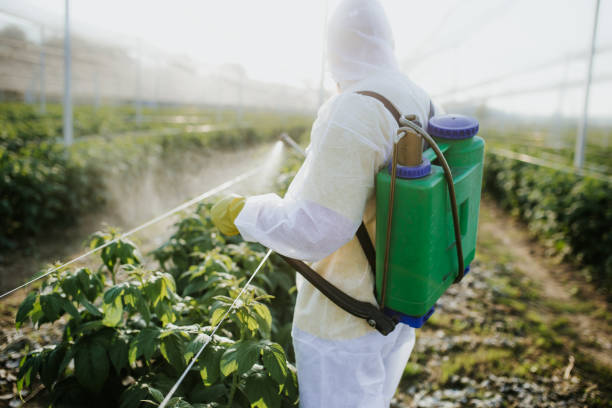 Best Cockroach Control Services  in Syracuse, NE